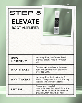 STEP 5: Elevate Root Amplifier