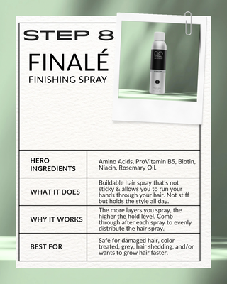 STEP 8: Finalé Finishing Spray