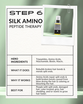 STEP 6: Silk Amino Peptide Therapy